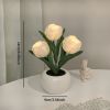 1pc LED Tulip Night Light