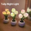 1pc LED Tulip Night Light