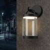 Inowel Lights Outdoor Wall Sconce 32333